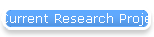 Research Projects