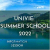 univie: summer school - online information session (Univ. Europe Study Abroad)